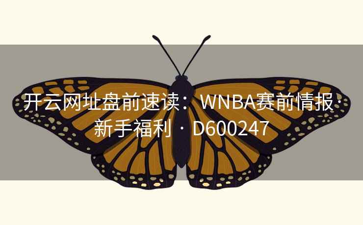 开云网址盘前速读：WNBA赛前情报·新手福利 · D600247  第2张