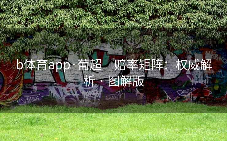 b体育app·葡超｜赔率矩阵：权威解析 · 图解版