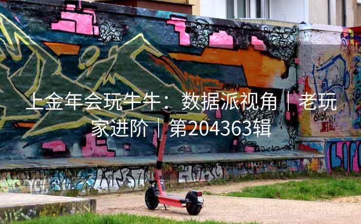 上金年会玩牛牛：数据派视角｜老玩家进阶｜第204363辑