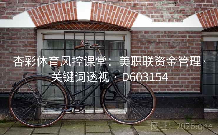 杏彩体育风控课堂：美职联资金管理·关键词透视 · D603154  第2张